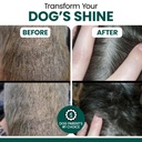 vegan-omega-3-oil-for-dogs-4-oz-of-fish--4.jpg