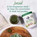 garden-of-life-raw-organic-perfect-food--4.jpg