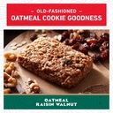 clif-bar-energy-protein-bars-oatmeal-rai-3.jpg