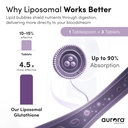 aurora-nutrascience-mega-pack-liposomal--3.jpg