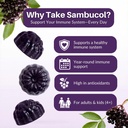 sambucol-black-elderberry-gummies-with-v-4.jpg