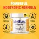 mindboost-10-ingredient-nootropic-stack--5.jpg
