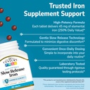 21st-century-slow-release-iron-tablets-6-3.jpg