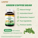 lovita-green-coffee-bean-extract-standar-5.jpg