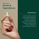 gaia-herbs-pro-glutathione-500-antioxida-4.jpg