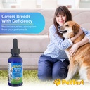 pettest-methyl-b12-vitamin-liquid-drops--4.jpg