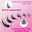 veyesbeauty-manga-lash-clusters-eyelash--4.jpg