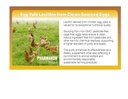 pharmakon-organic-egg-yolk-lecithin-5.jpg