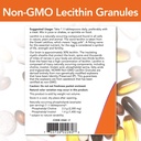 lecithin-granules-non-gmo-now-foods-1-lb-3.jpg