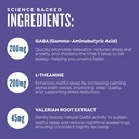 protekt-gaba-l-theanine-supplement-melat-5.jpg
