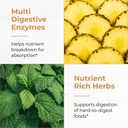 sandhu-s-debloat-digestive-enzymes-capsu-4.jpg