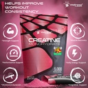 wellness-labsrx-creatine-monohydrate-pow-4.jpg