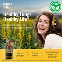 herbify-mullein-extract-2-oz-tincture-fo-3.jpg