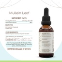 herbera-mullein-leaf-b60-alcohol-free-he-3.jpg