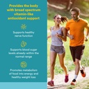natural-factors-alpha-lipoic-acid-with-b-2.jpg
