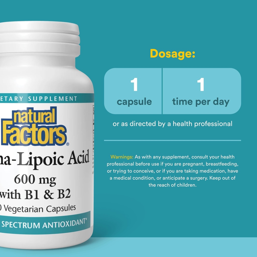 natural-factors-alpha-lipoic-acid-with-b-3.jpg