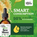 wild-organic-sea-moss-liquid-drops-immun-4.jpg