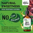 wild-organic-sea-moss-liquid-drops-immun-6.jpg