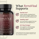 nivara-ferravital-ferritin-complex-iron--3.jpg