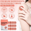 berberine-patches-for-appetite-cravings--3.jpg