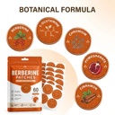 berberine-transdermal-patches-60-pack-ve-2.jpg