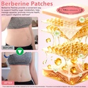 berberine-patches-berberine-patch-with-c-3.jpg