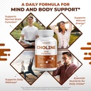 choline-with-dha-inositol-vitamin-b12-co-4.jpg