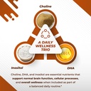 choline-with-dha-inositol-vitamin-b12-co-5.jpg