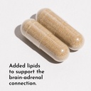 just-ingredients-adrenal-support-complex-4.jpg