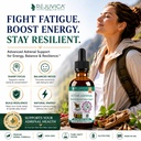rejuvica-health-active-adrenal-advanced--2.jpg