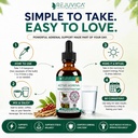 rejuvica-health-active-adrenal-advanced--5.jpg