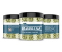 earthborn-elements-damiana-leaf-200-caps-4.jpg