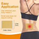 kongdy-100pcs-ginger-capsaicin-patches-h-4.jpg