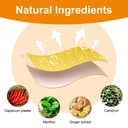 kongdy-100pcs-ginger-capsaicin-patches-h-2.jpg