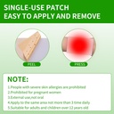 50-pcs-mint-menthol-capsaicin-patches-s--5.jpg