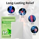 20-pcs-menthol-relief-patches-cool-back--3.jpg