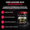 allmax-aminocore-bcaa-powder-watermelon--2.jpg