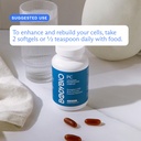 bodybio-pc-phosphatidylcholine-for-brain-4.jpg