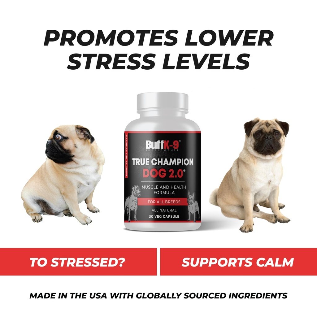 buffk-9-true-champ-2-0-muscle-building-s-4.jpg