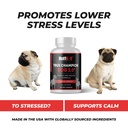 buffk-9-true-champ-2-0-muscle-building-s-4.jpg