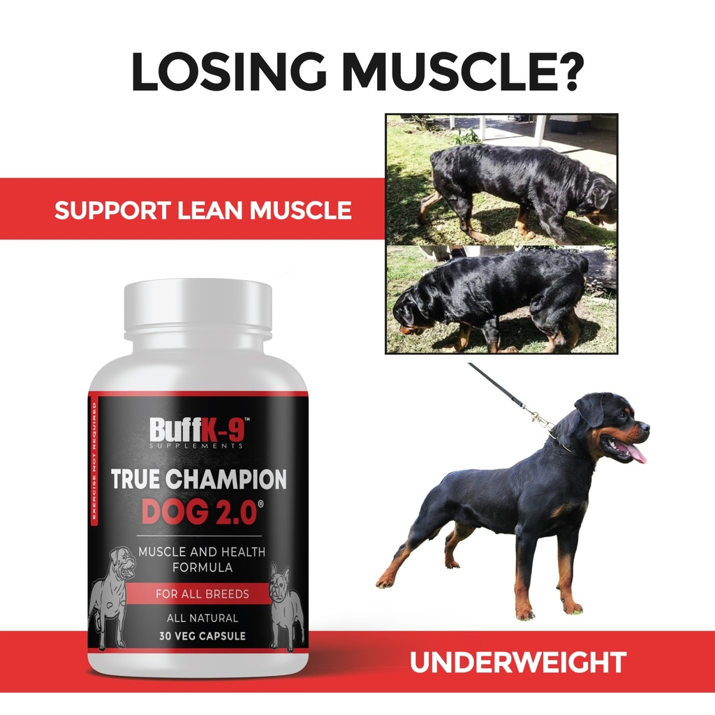 buffk-9-true-champ-2-0-muscle-building-s-2.jpg