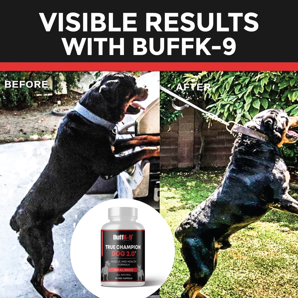 buffk-9-true-champ-2-0-muscle-building-s-6.jpg