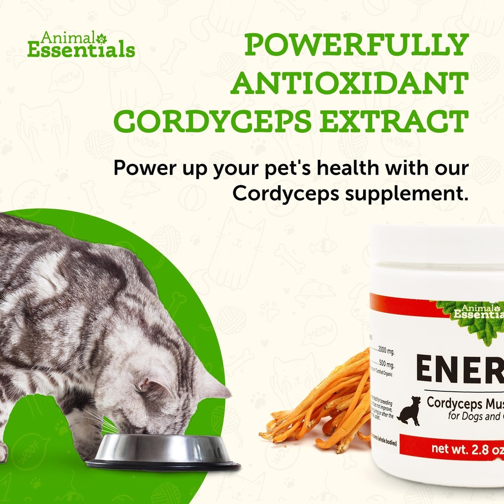 animal-essentials-energy-cordyceps-mushr-5.jpg