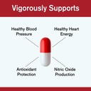 cardiovascular-support-robust-cardiovasc-2.jpg