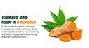 neem-turmeric-capsules-tablets-high-pote-6.jpg