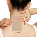 120-pcs-tiger-patches-for-back-neck-knee-6.jpg