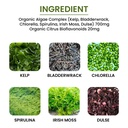 algae-fucoidan-blue-green-algae-kelp-bla-4.jpg