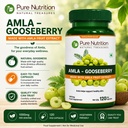 pure-nutrition-amla-capsules-indian-goos-3.jpg