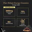 shilajit-gummies-for-men-women-natural-h-3.jpg