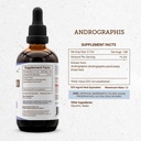 secrets-of-the-tribe-andrographis-alcoho-4.jpg